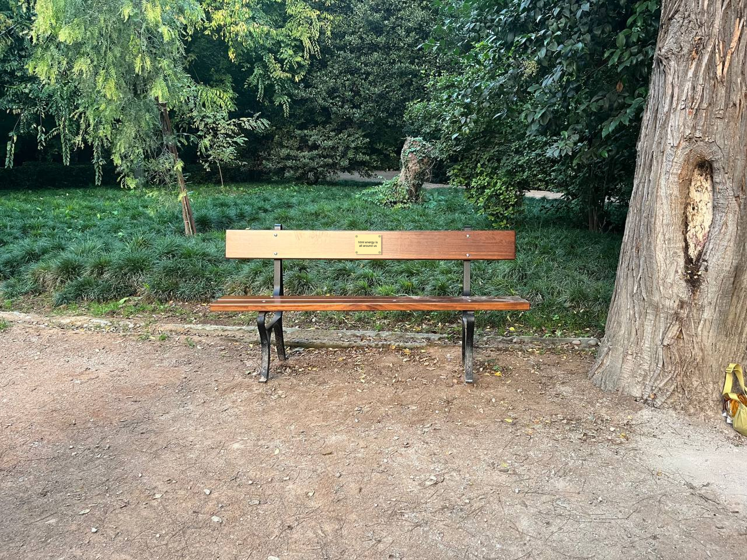 Park Bench Long Shot