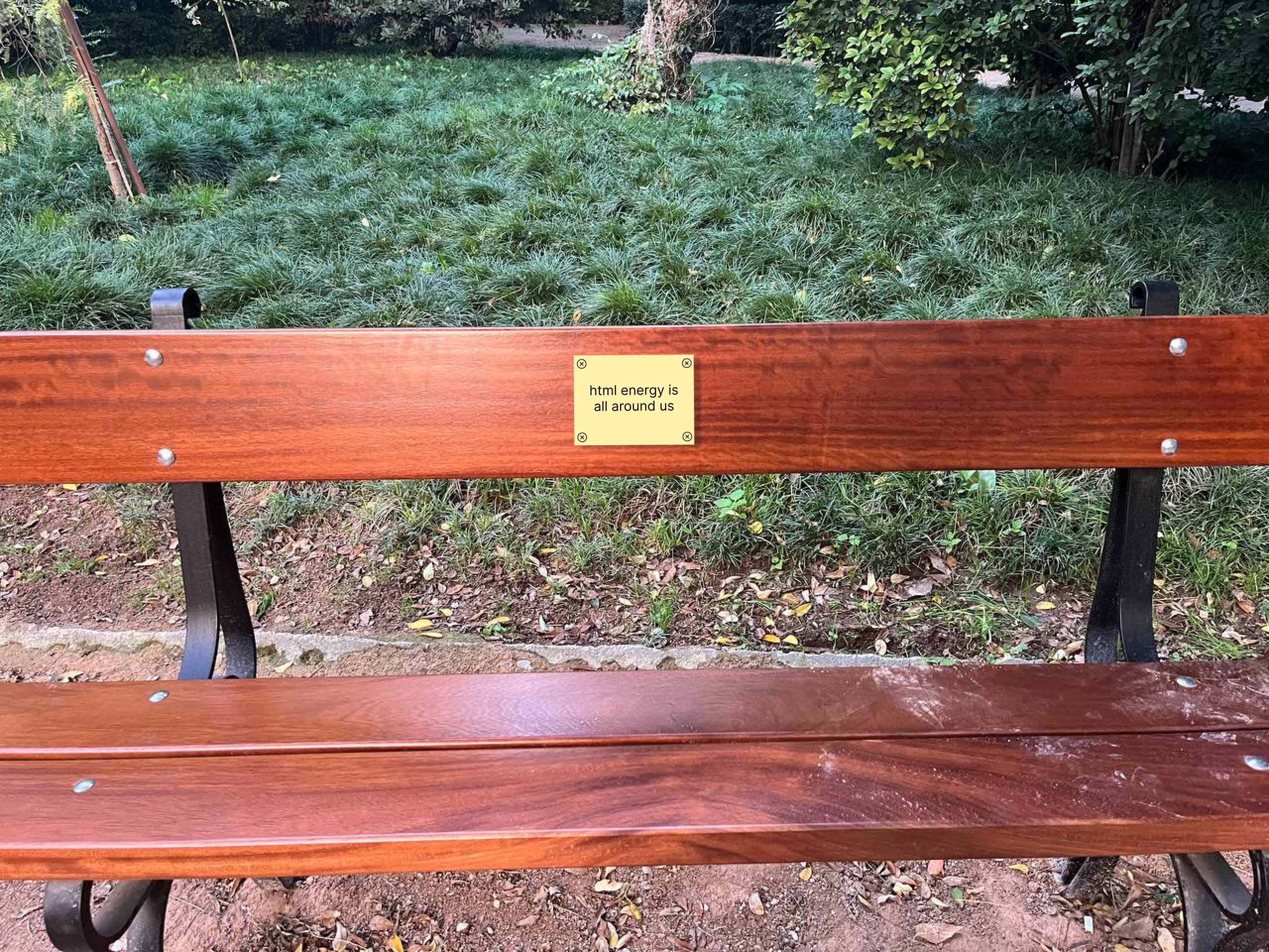 Park Bench Medium Shot